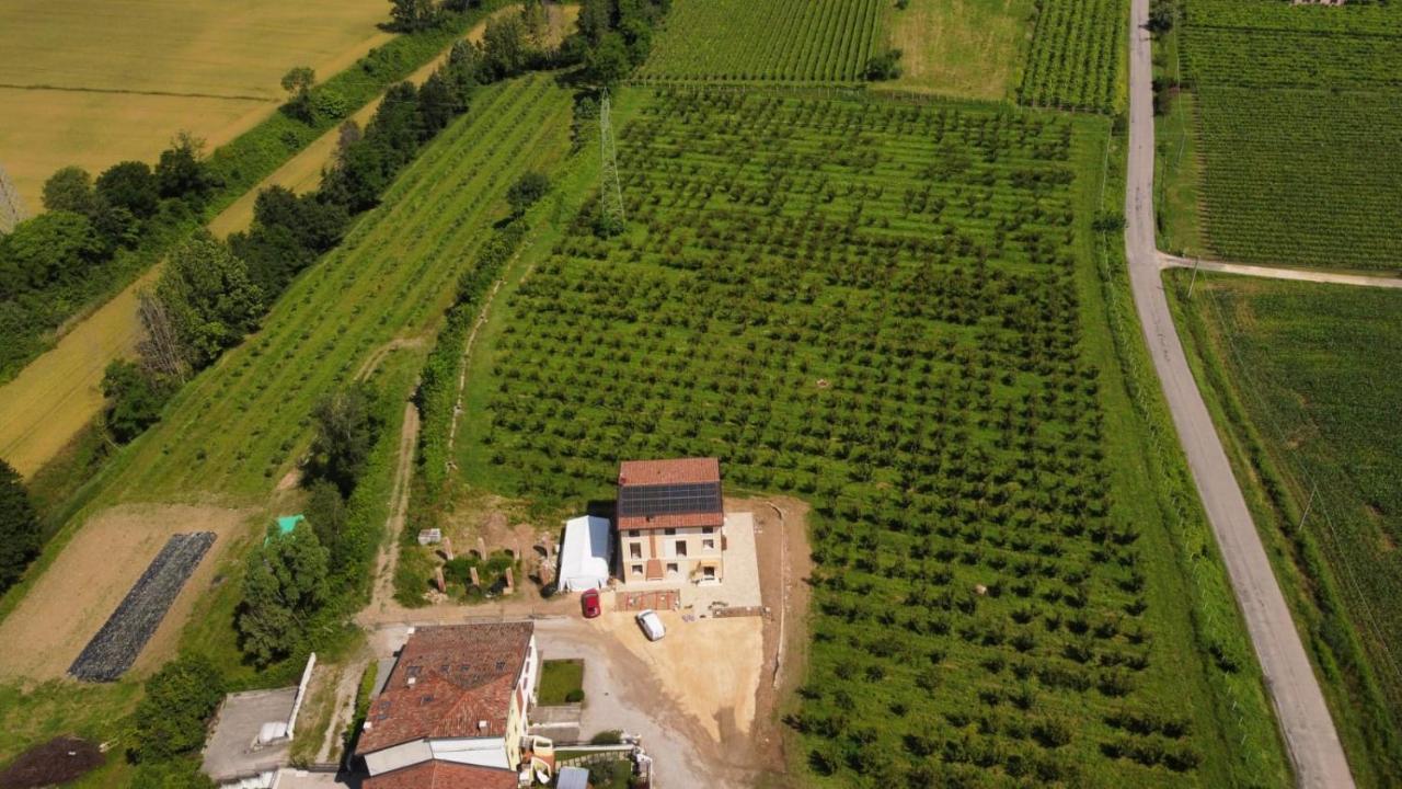 Corte Bottura Agriturismo Castelnuovo del Garda Zewnętrze zdjęcie