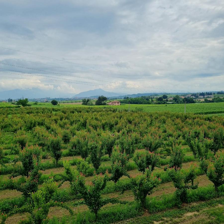Corte Bottura Agriturismo Castelnuovo del Garda Zewnętrze zdjęcie